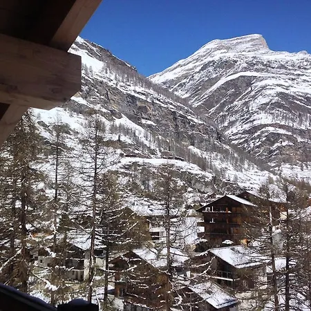 Amber Zermatt